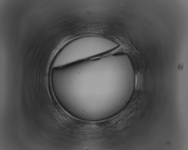X0000095670195200801081047