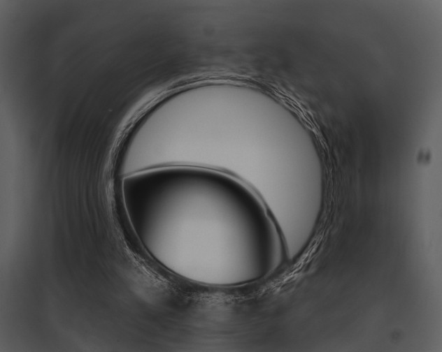 X0000095670197200801081047