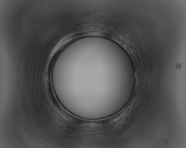 X0000095670198200801081047