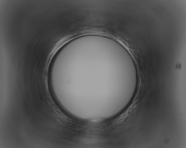 X0000095670199200801081047
