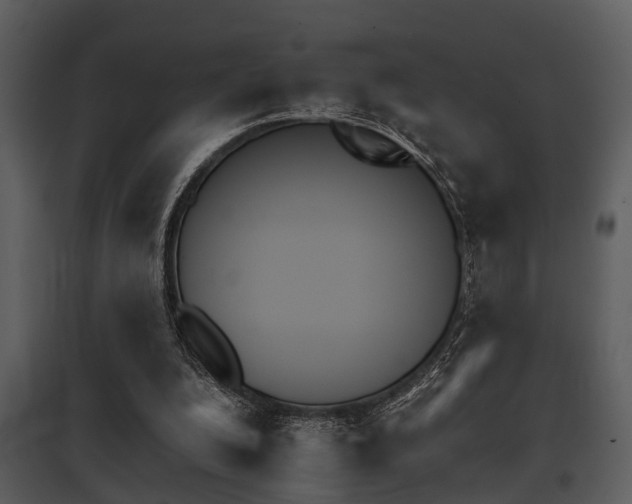 X0000095670200200801081047