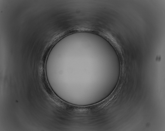 X0000095670202200801081047
