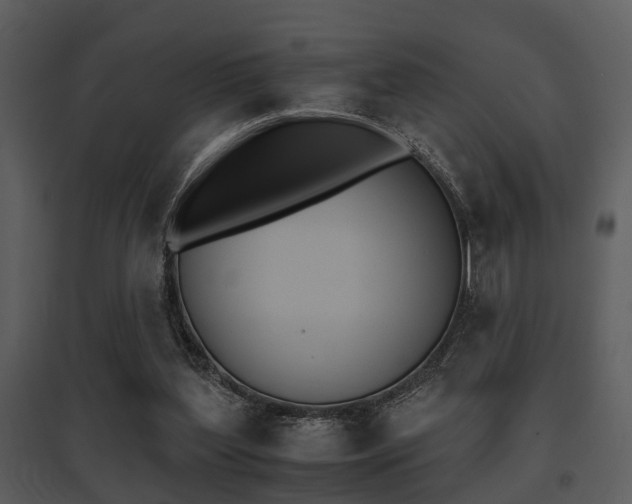 X0000095670204200801081047