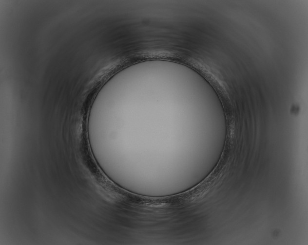 X0000095670206200801081047