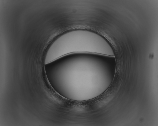 X0000095670207200801081047