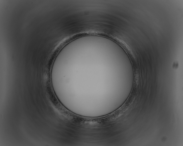 X0000095670208200801081047