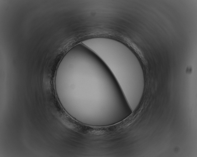 X0000095670209200801081047