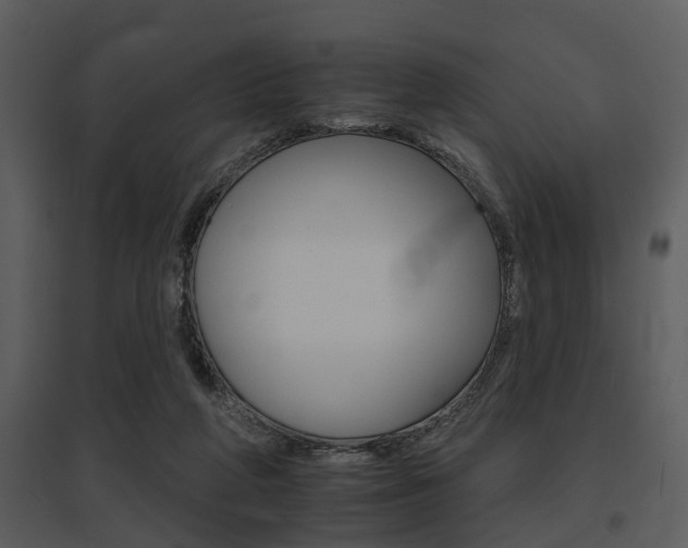 X0000095670210200801081047
