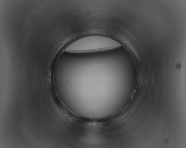 X0000095670212200801081047