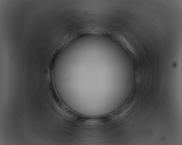 X0000095670213200801081047