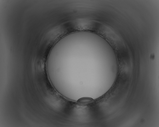 X0000095670214200801081047