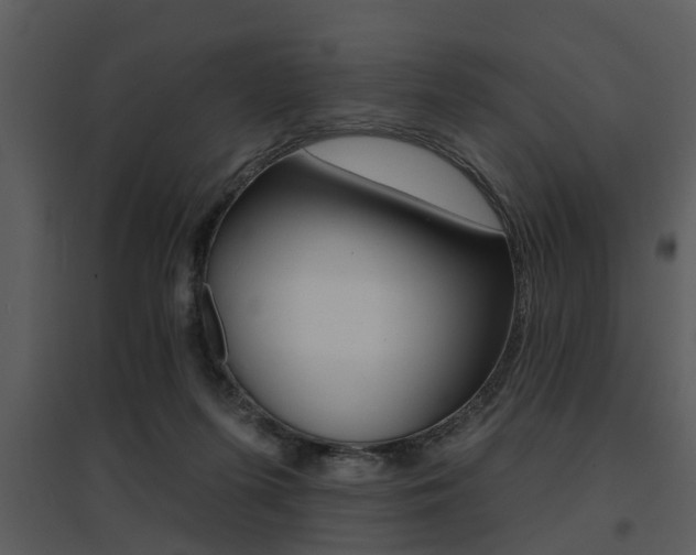 X0000095670215200801081047