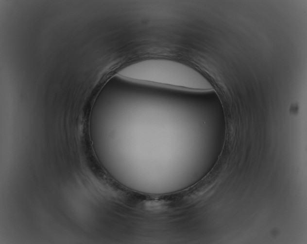 X0000095670216200801081047