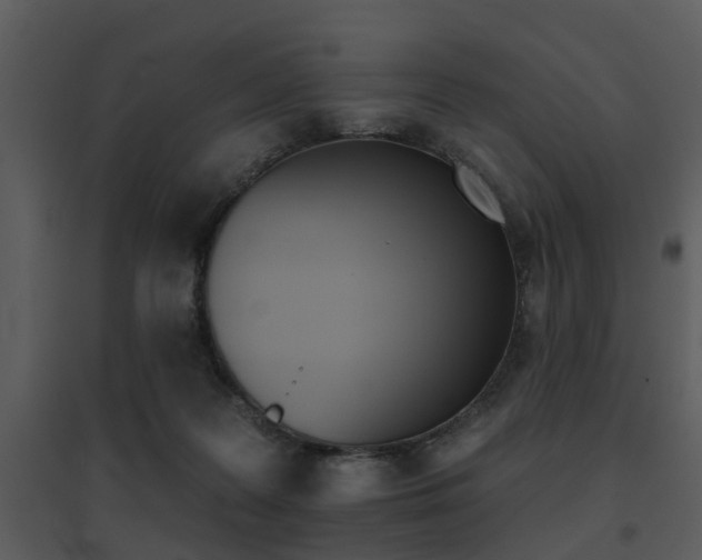 X0000095670219200801081047