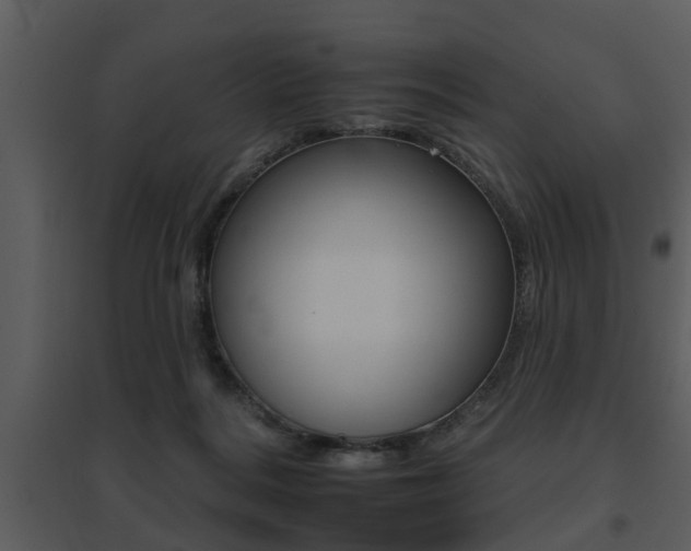 X0000095670220200801081047
