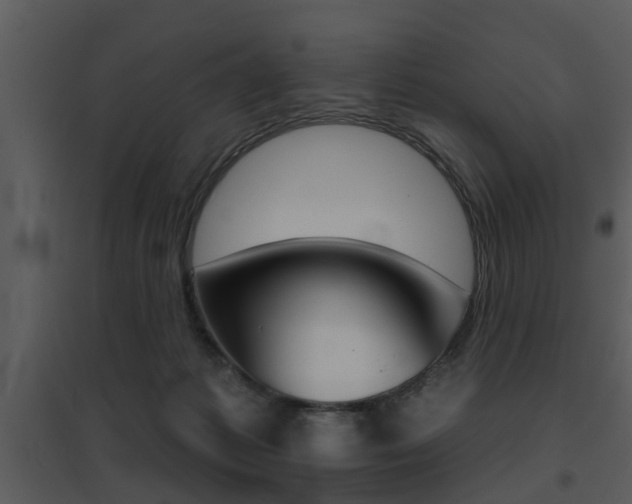 X0000095670221200801081047