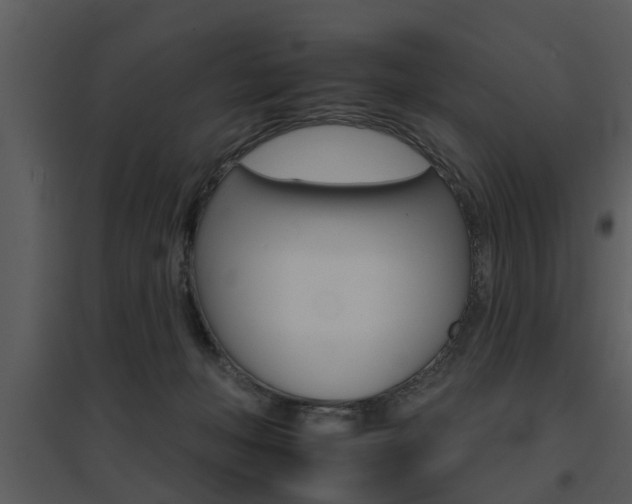 X0000095670222200801081047