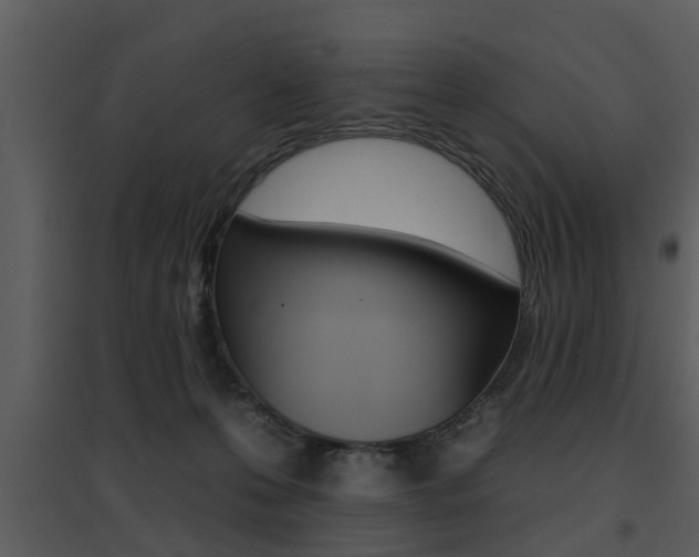 X0000095670223200801081047