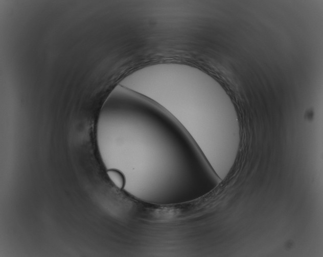 X0000095670225200801081047