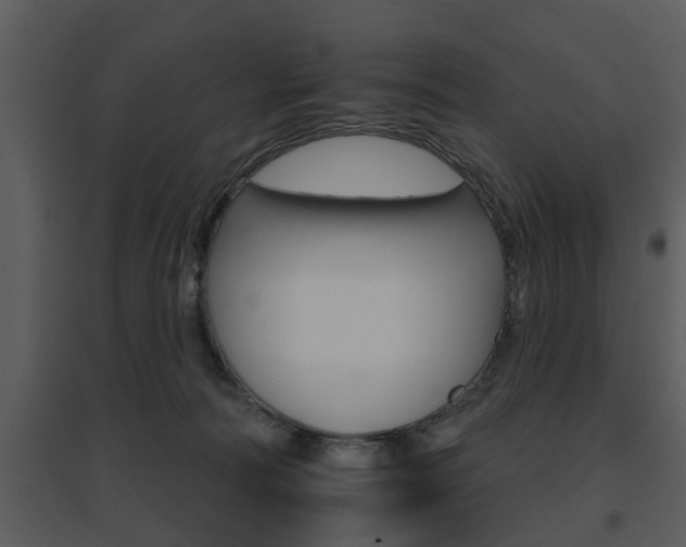 X0000095670226200801081047