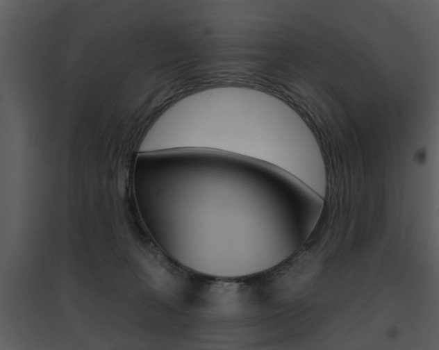 X0000095670227200801081047