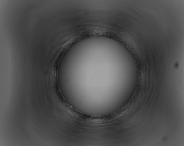 X0000095670228200801081047