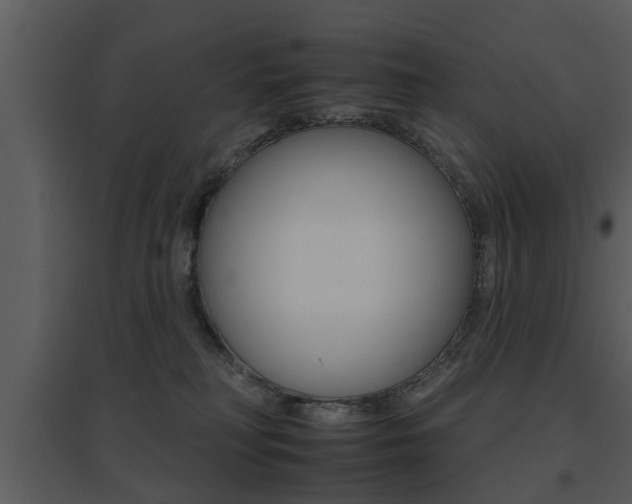 X0000095670230200801081047