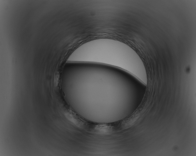 X0000095670231200801081047