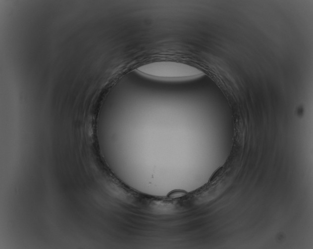 X0000095670232200801081047