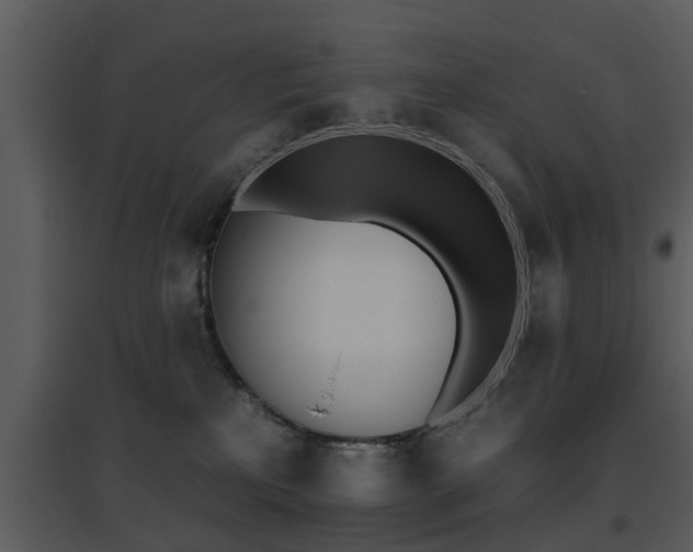 X0000095670233200801081047