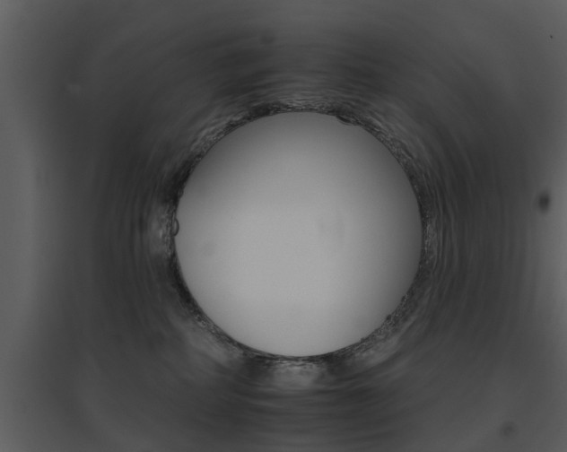 X0000095670234200801081047