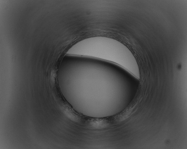 X0000095670235200801081047