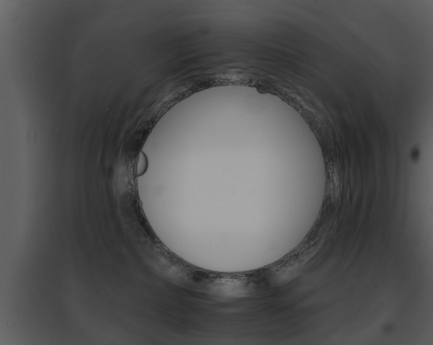 X0000095670236200801081047