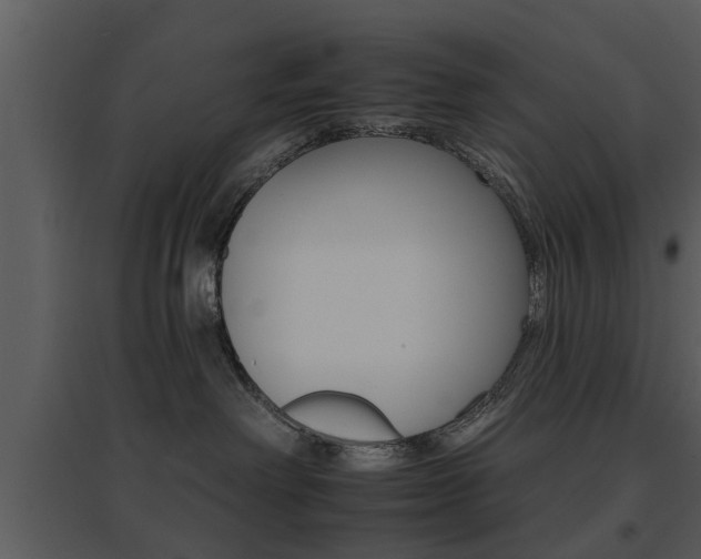 X0000095670238200801081047