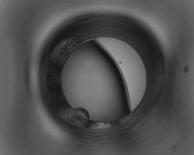 X0000095670239200801081047