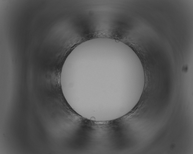 X0000095670240200801081047