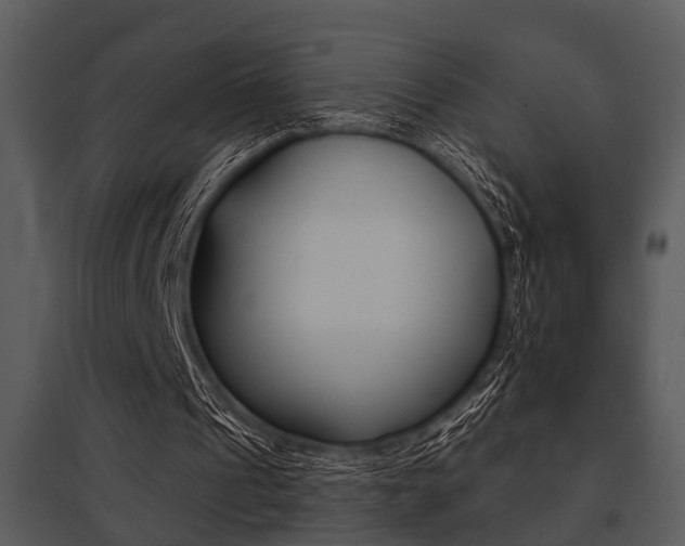 X0000095670241200801081046