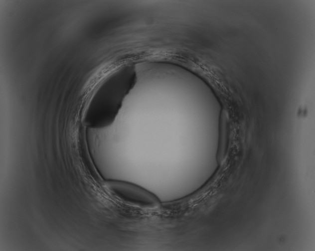 X0000095670242200801081046