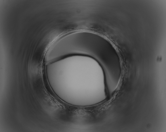 X0000095670244200801081046