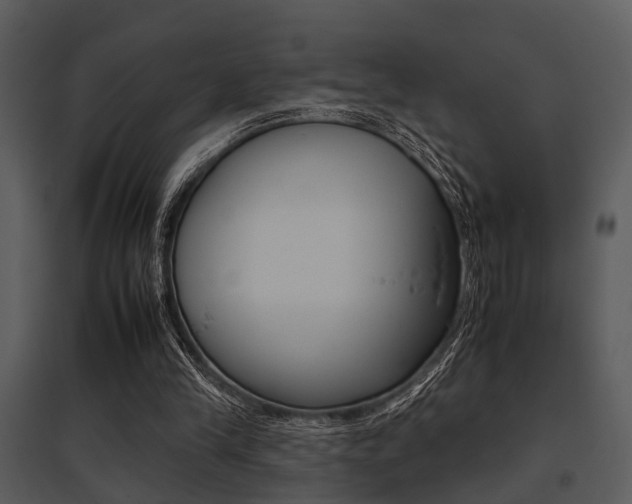 X0000095670245200801081046
