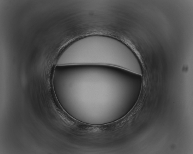 X0000095670249200801081046