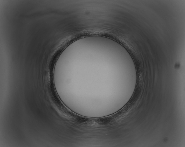 X0000095670254200801081046
