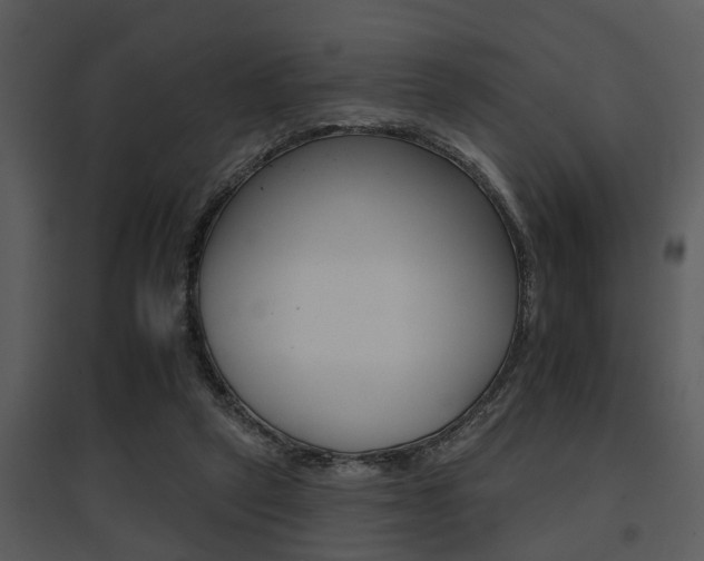 X0000095670257200801081046