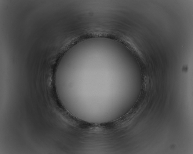 X0000095670259200801081046