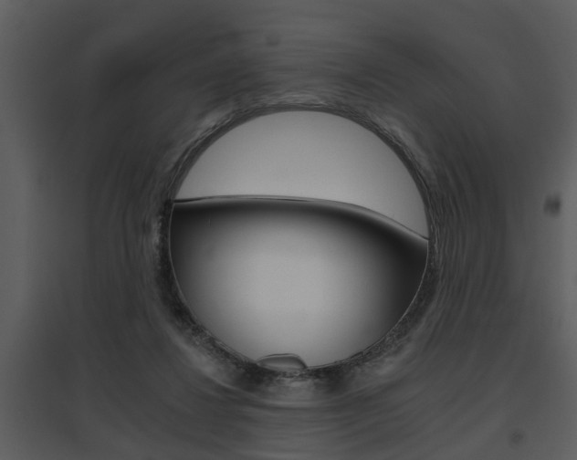 X0000095670260200801081046