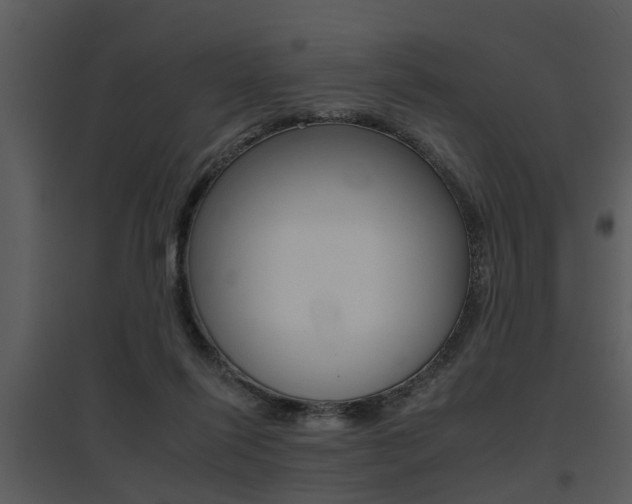 X0000095670262200801081046