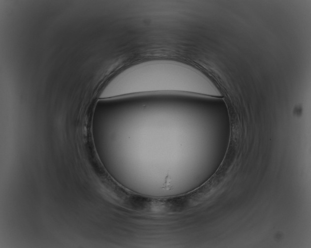 X0000095670264200801081046