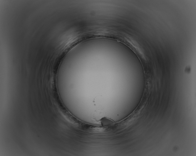 X0000095670265200801081046