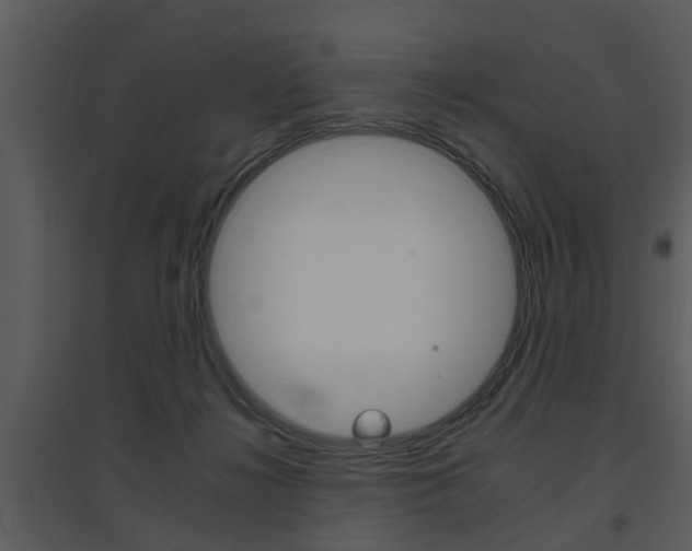 X0000095670268200801081046