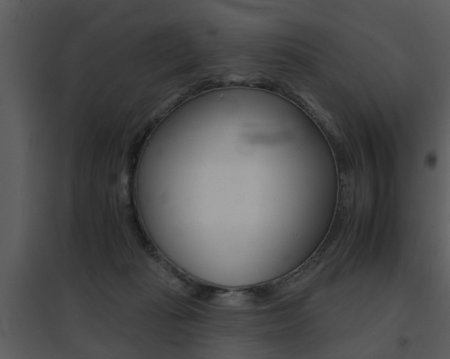 X0000095670269200801081046